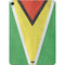 Guyana Flag Distressed Apple iPad Air Skin